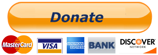 Paypal Donate Buttom